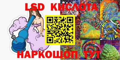 прущие грибы Партизанск