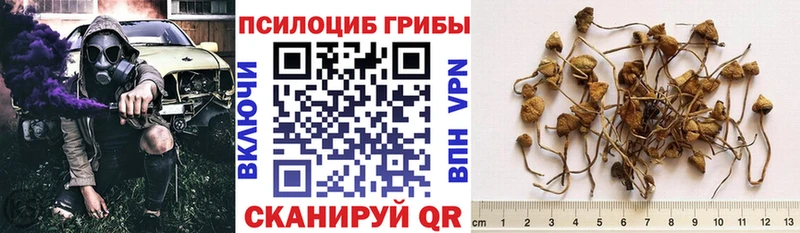 Галлюциногенные грибы GOLDEN TEACHER  mega рабочий сайт  Армавир  где продают наркотики 